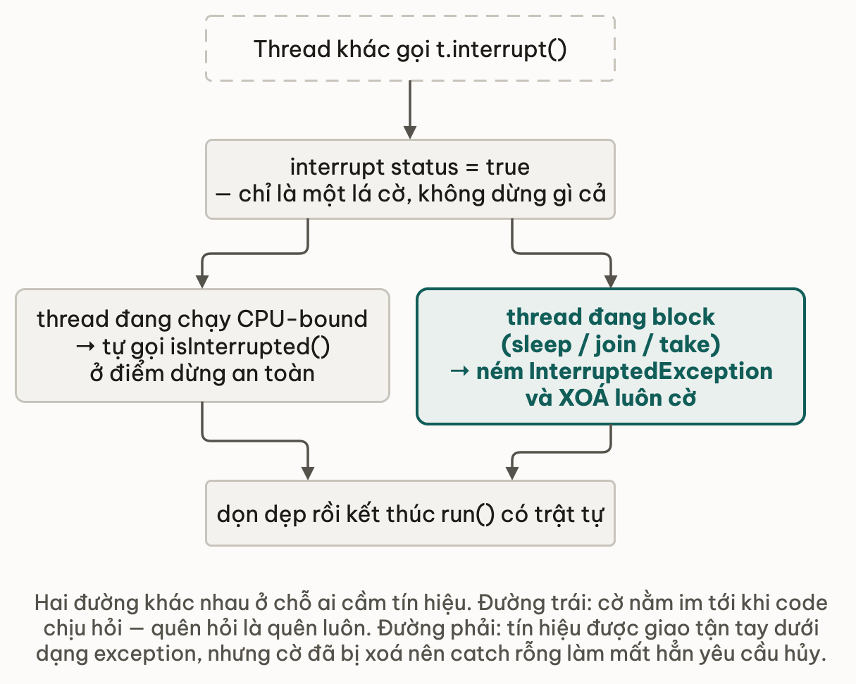 Một lá cờ interrupt dẫn tới hai đường hủy khác nhau tùy thread đang chạy hay đang block