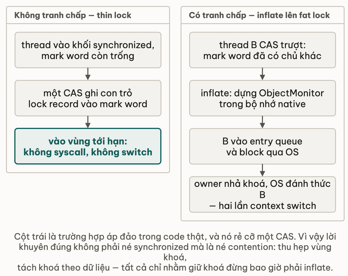 Đường thin lock chỉ tốn một CAS, đường có tranh chấp phải inflate lên ObjectMonitor