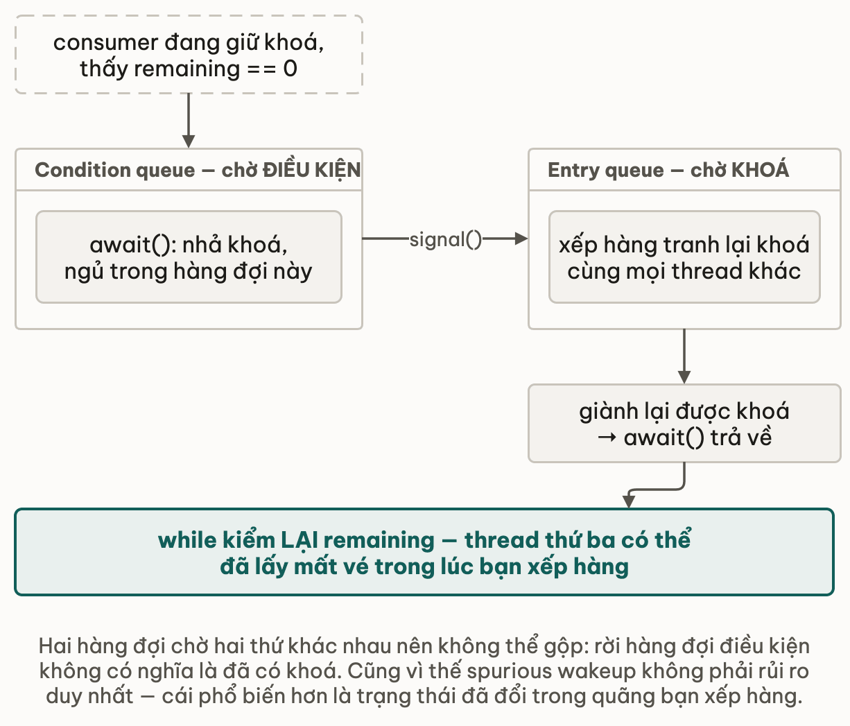 Thread chuyển từ condition queue sang entry queue sau signal, rồi mới tranh lại khoá