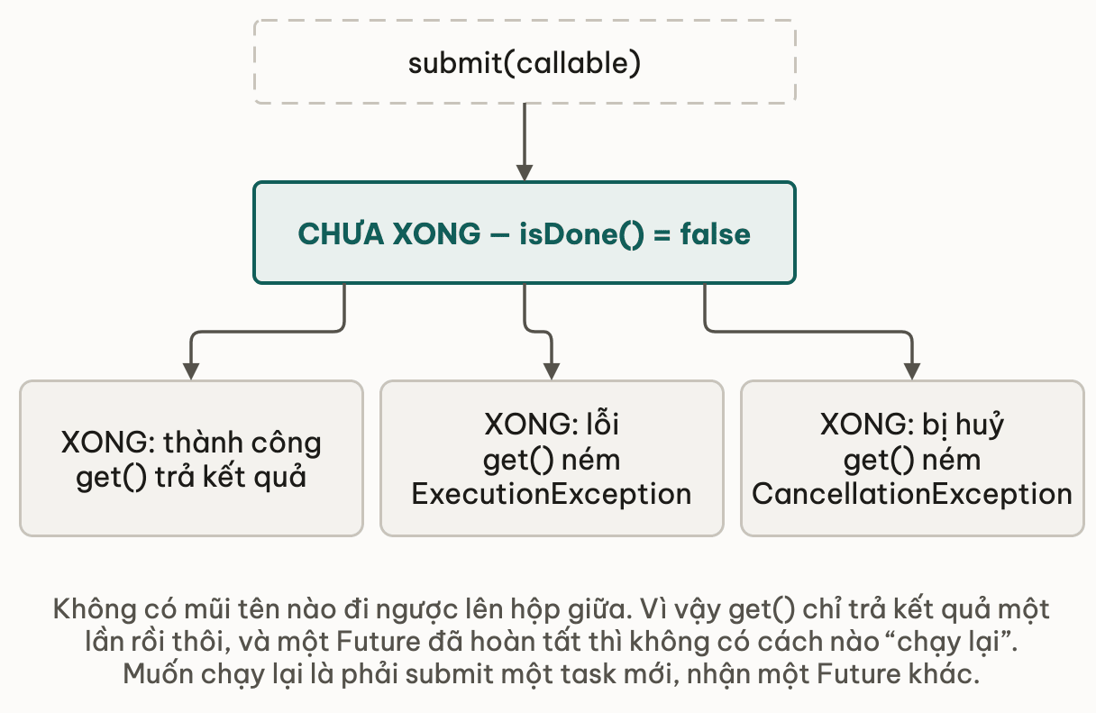 Vòng đời một chiều của Future với ba cửa ra và không mũi tên nào quay lại