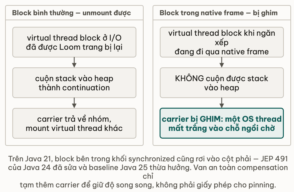 Hai lần block cạnh nhau: bên trái unmount được, bên phải ghim chặt carrier