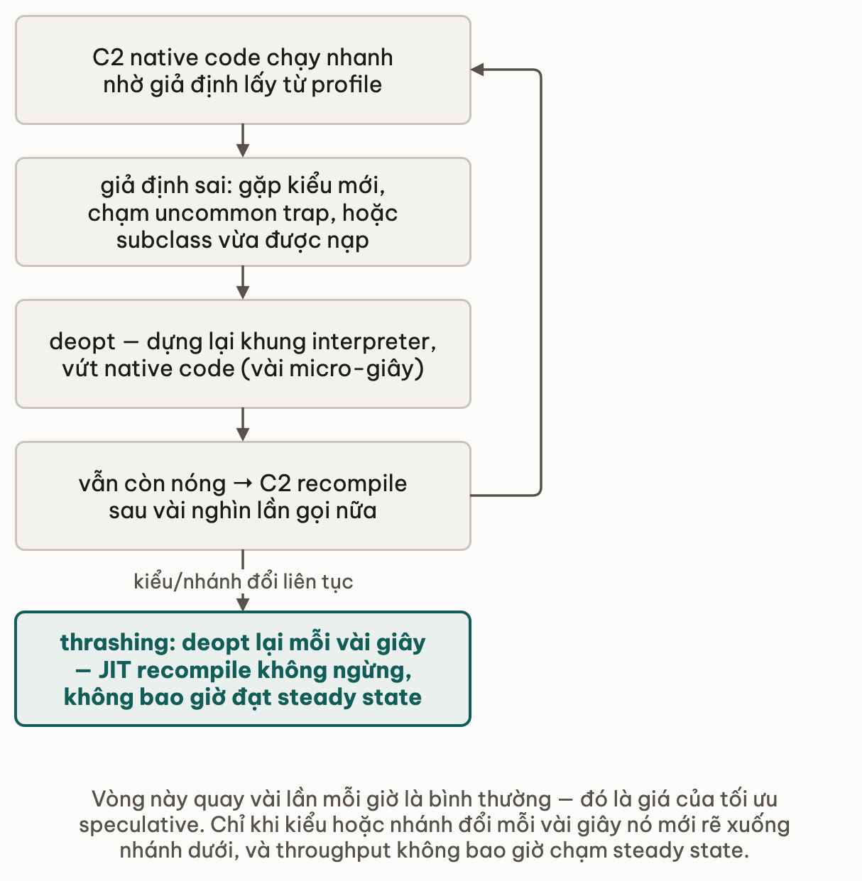 Vòng khép kín từ C2 native code qua giả định sai, deopt về interpreter, recompile rồi quay lại C2; nhánh thoát khỏi vòng là thrashing khi kiểu hoặc nhánh đổi liên tục nên không bao giờ đạt steady state
