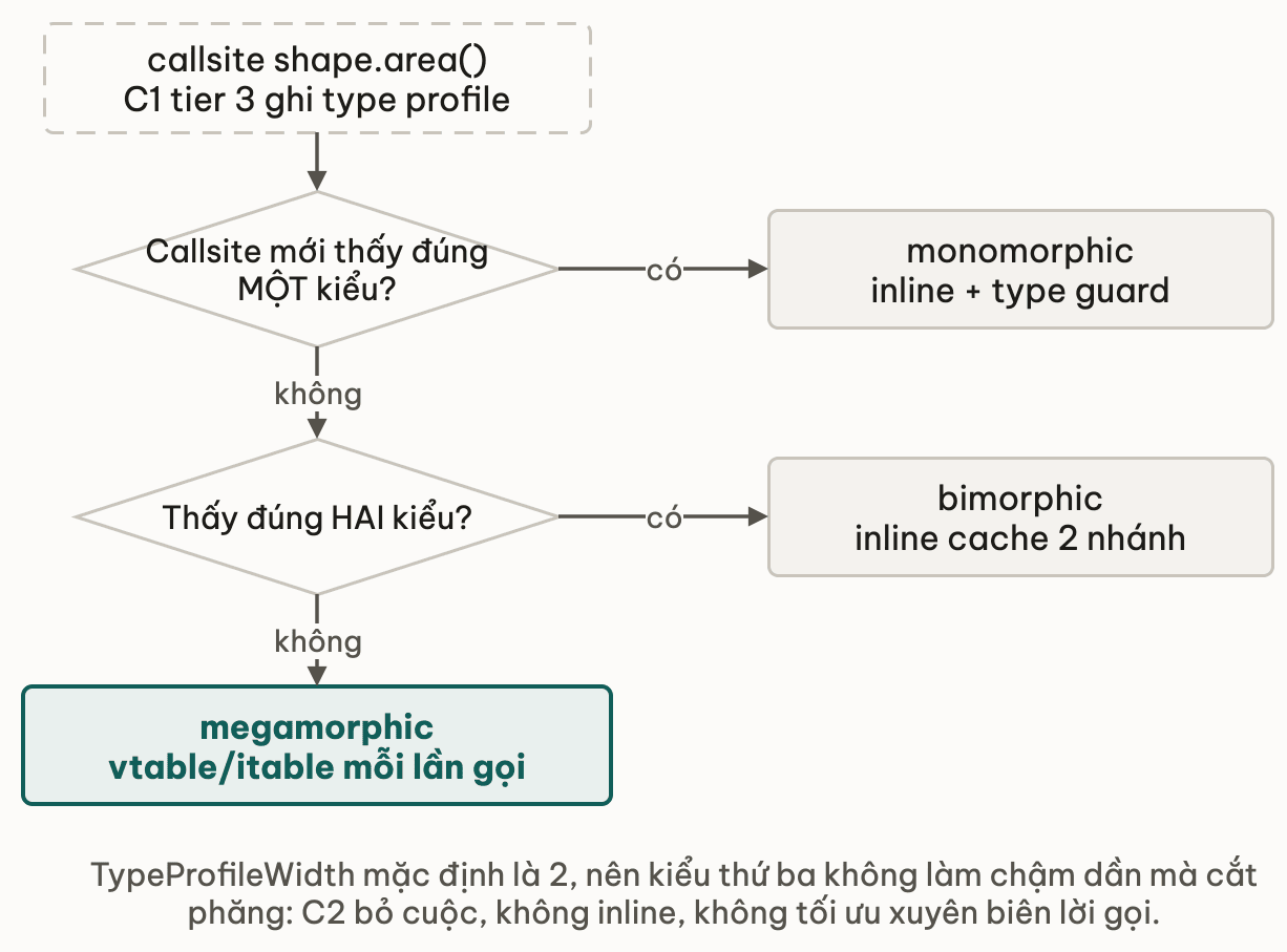 Cây quyết định theo số kiểu callsite đã gặp: một kiểu thì monomorphic inline kèm type guard, hai kiểu thì bimorphic inline cache hai nhánh, còn lại là megamorphic phải tra vtable itable mỗi lần gọi