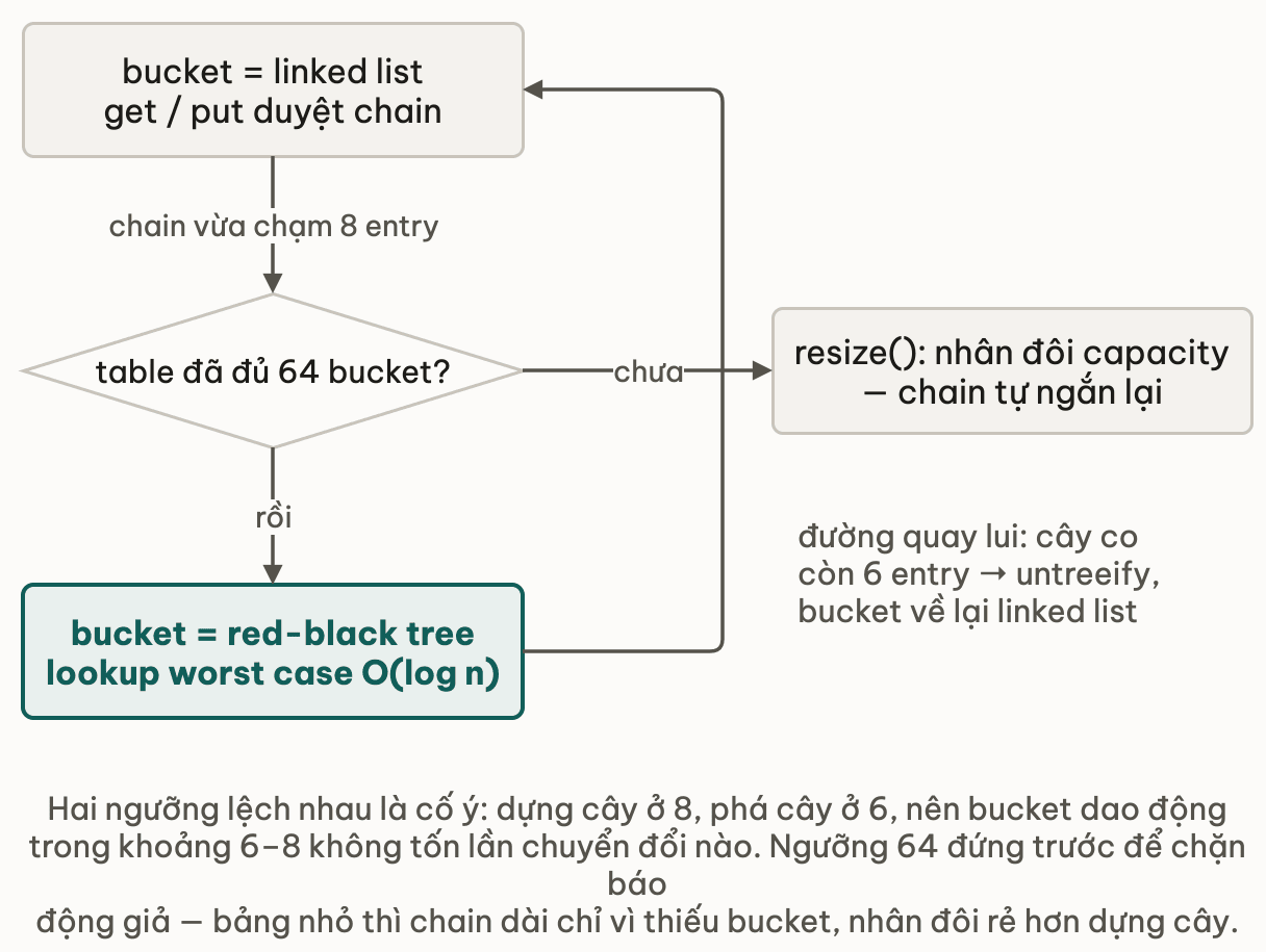 Bucket chuyển giữa hai trạng thái linked list và red-black tree: chain chạm 8 mà bảng chưa đủ 64 ô thì đi đường resize, đủ 64 thì dựng cây, cây co còn 6 entry thì quay về linked list
