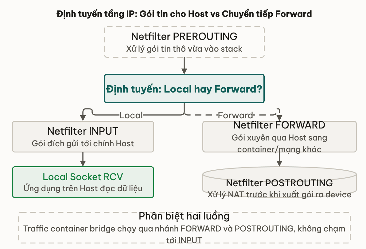Định tuyến tầng IP: Gói tin cho Host vs Chuyển tiếp Forward