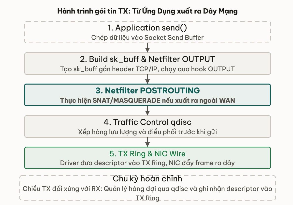Hành trình gói tin TX: Từ Ứng Dụng xuất ra Dây Mạng