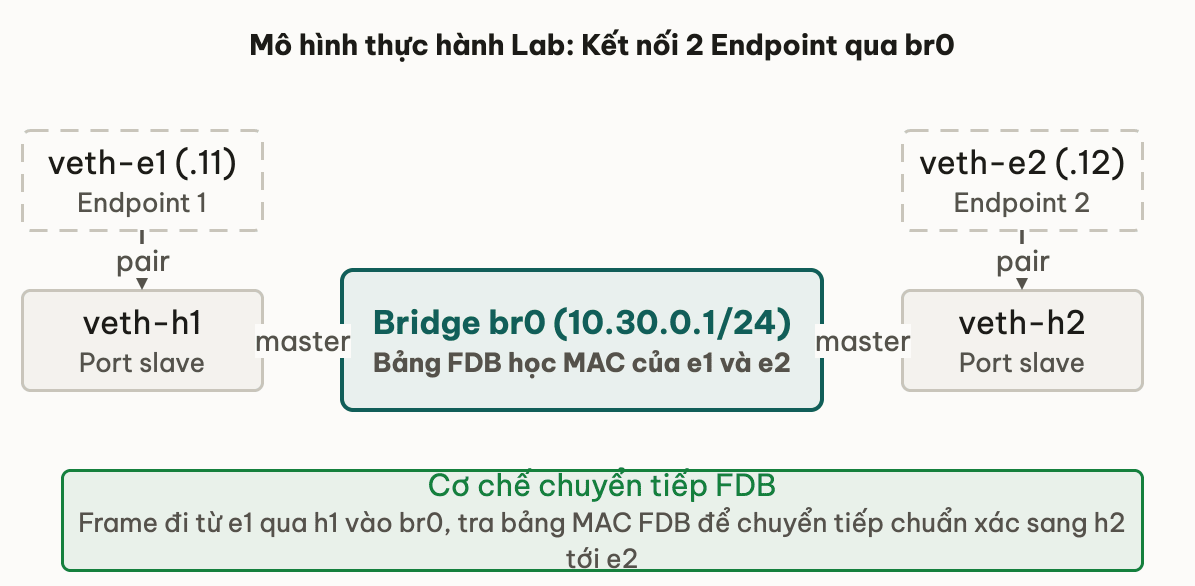 Mô hình thực hành Lab: Kết nối 2 Endpoint qua br0