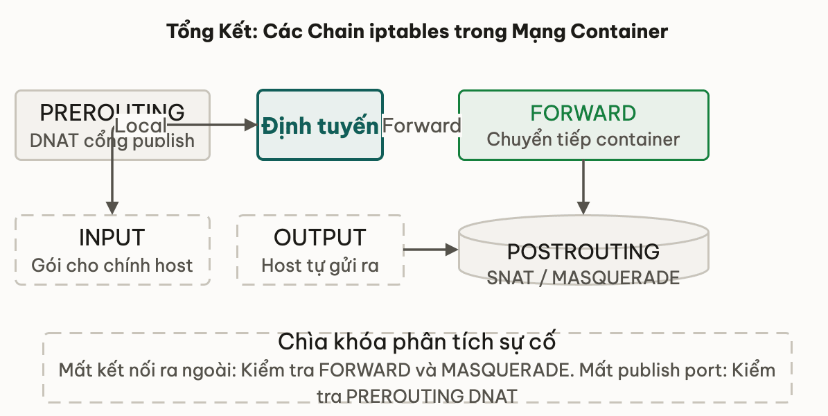 Tổng Kết: Các Chain iptables trong Mạng Container