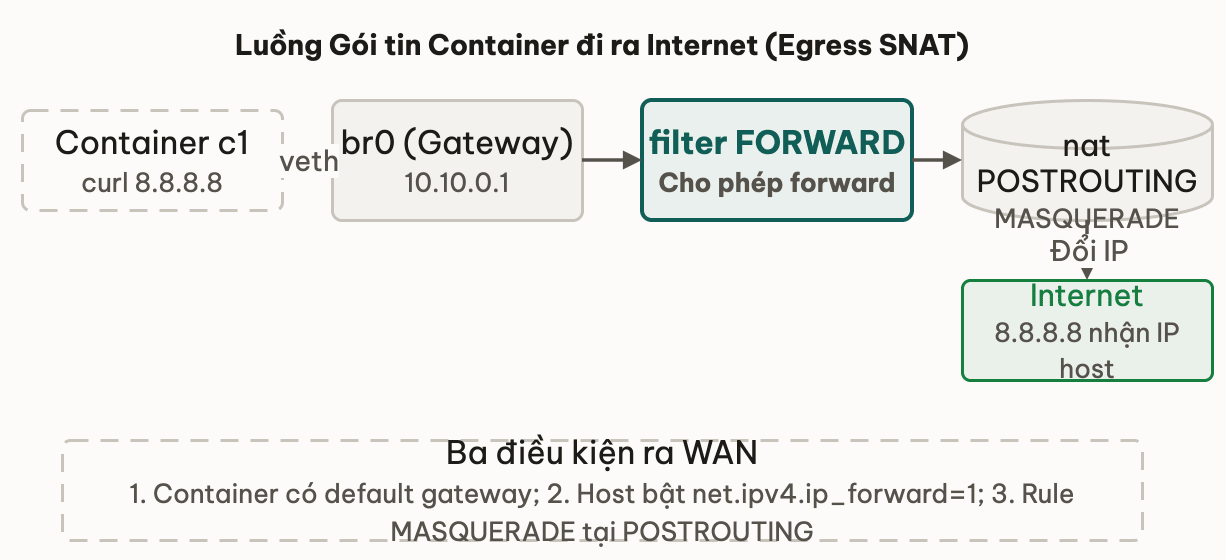 Luồng gói tin container ra Internet qua Bridge, FORWARD và NAT POSTROUTING