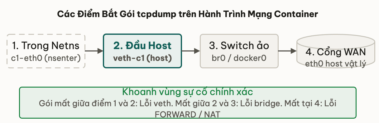 Các điểm đặt tcpdump trên đường truyền mạng Container