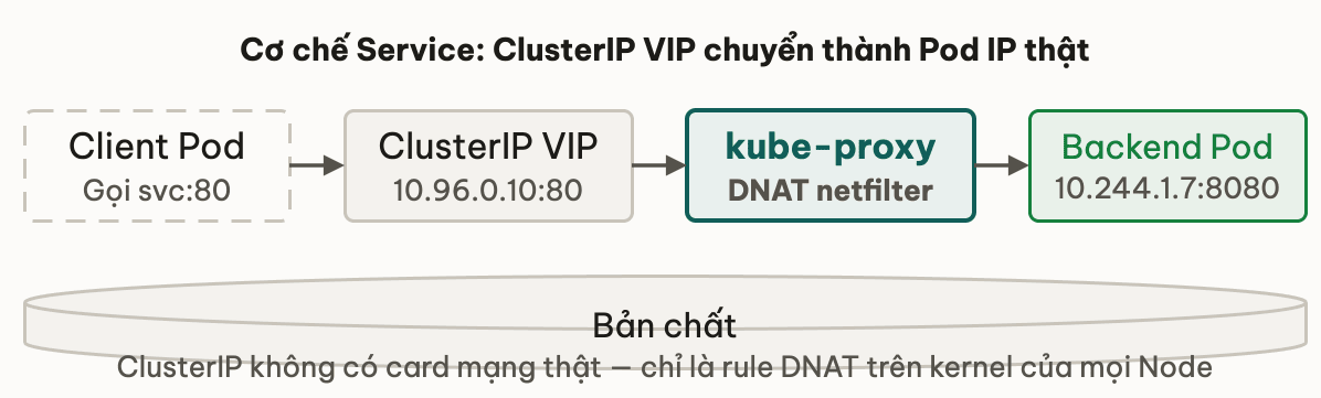Cơ chế Service: ClusterIP VIP chuyển thành Pod IP thật