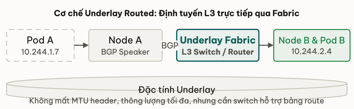 Cơ chế Underlay Routed: Định tuyến L3 trực tiếp qua Fabric