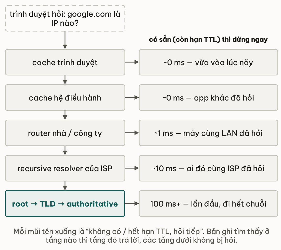 Chuỗi cache DNS hỏi lần lượt: cache trình duyệt, cache hệ điều hành, router, recursive resolver của ISP, rồi mới tới root, TLD và authoritative — tầng nào còn bản ghi trong hạn TTL thì dừng ở đó, lần đầu vào domain lạ mất trên 100 ms vì phải đi hết chuỗi