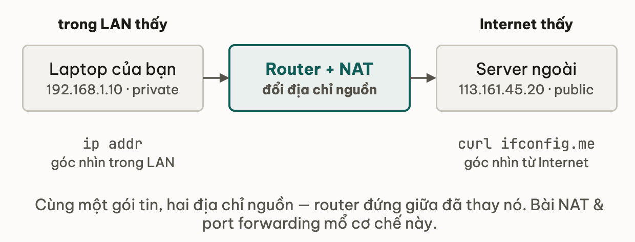 Ba hộp nối tiếp: laptop của bạn với địa chỉ nguồn 192.168.1.10 private trong LAN, router cộng NAT đổi địa chỉ nguồn, server ngoài Internet thấy nguồn 113.161.45.20 public — ip addr cho góc nhìn trong LAN, curl ifconfig.me cho góc nhìn từ Internet