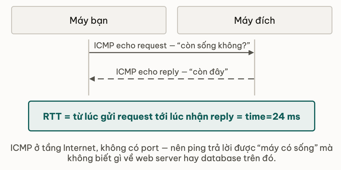 Sơ đồ tuần tự ping: máy bạn gửi ICMP echo request hỏi còn sống không, máy đích trả ICMP echo reply — RTT là khoảng thời gian từ lúc gửi request tới lúc nhận reply, chính là con số time bằng 24 ms