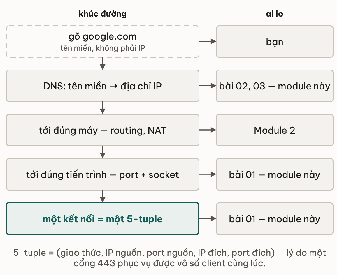 Bản đồ module: gõ google.com là tên miền chứ không phải IP; DNS đổi tên miền thành IP ở hai bài DNS của module này; tới đúng máy nhờ routing và NAT của Module 2; tới đúng tiến trình nhờ port và socket; một kết nối là một 5-tuple gồm giao thức, IP nguồn, port nguồn, IP đích, port đích, cũng thuộc module này