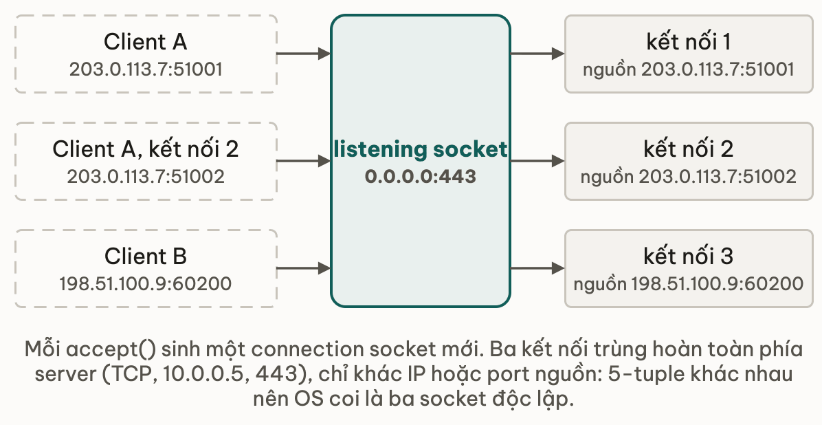 Một listening socket 0.0.0.0:443 ở giữa, ba client đi vào từ trái với nguồn 203.0.113.7:51001, 203.0.113.7:51002 và 198.51.100.9:60200, ba connection socket đi ra bên phải chỉ khác nhau ở IP hoặc port nguồn — 5-tuple khác nhau nên OS coi là ba kết nối độc lập