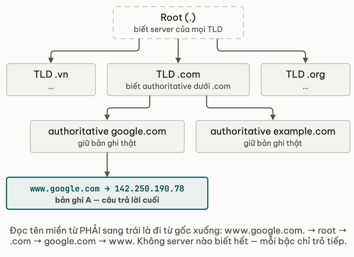Cây tên miền lộn ngược: root biết server của mọi TLD; dưới root là TLD .vn, .com, .org; dưới .com là authoritative google.com và authoritative example.com giữ bản ghi thật; dưới google.com là bản ghi A www.google.com trỏ tới 142.250.190.78