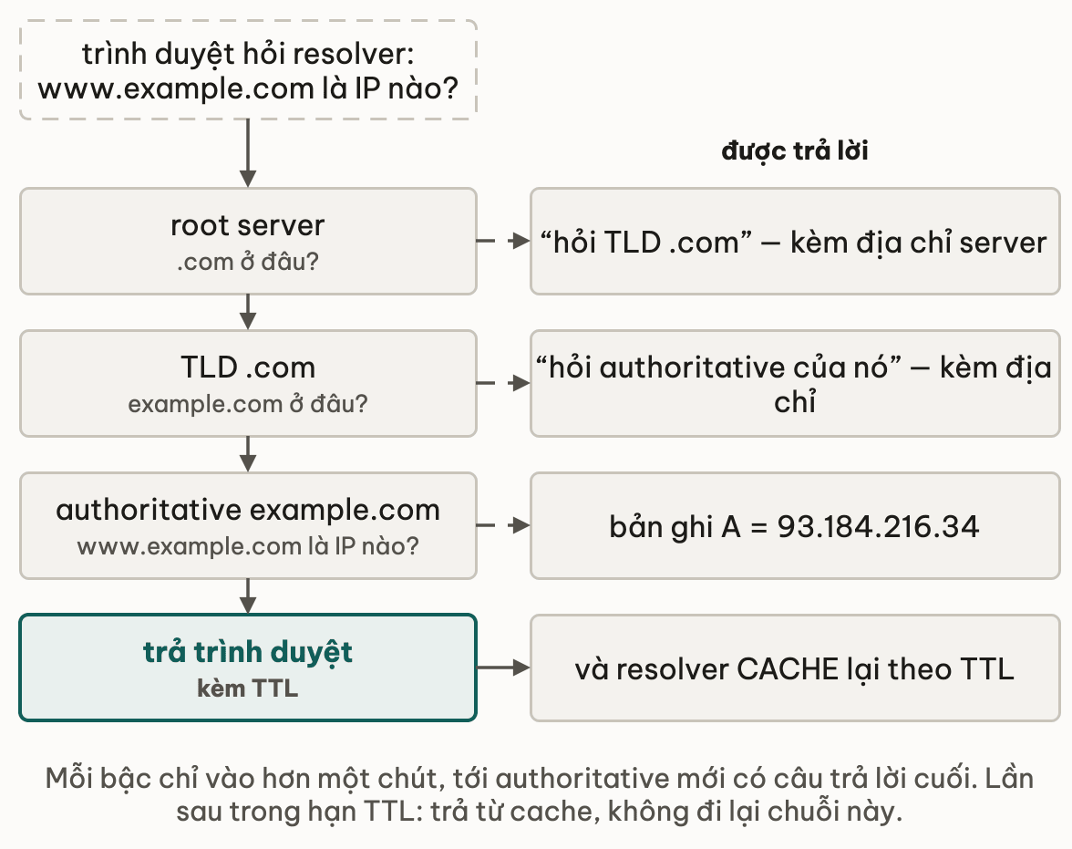 Một lần tra nguội nhìn từ recursive resolver: trình duyệt hỏi www.example.com là IP nào; resolver hỏi root server và được chỉ sang TLD .com; hỏi TLD .com và được chỉ sang authoritative của example.com; hỏi authoritative và nhận bản ghi A 93.184.216.34; trả trình duyệt kèm TTL và cache lại
