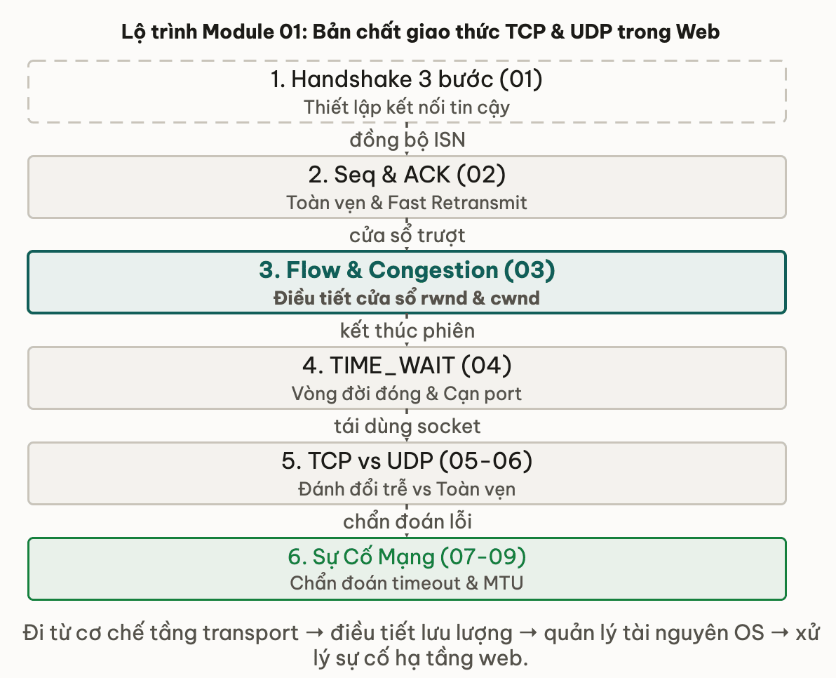 Lộ trình Module 01: Bản chất giao thức TCP & UDP trong Web