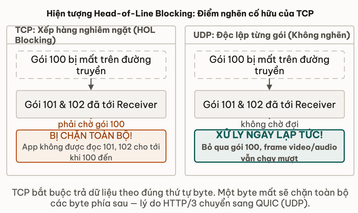 Hiện tượng Head-of-Line Blocking: Điểm nghẽn cố hữu của TCP
