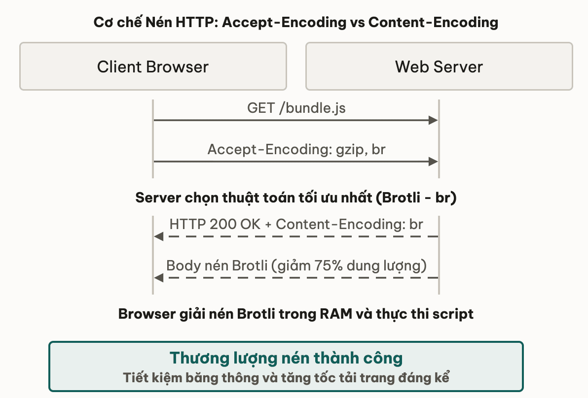 Cơ chế Nén HTTP: Accept-Encoding vs Content-Encoding