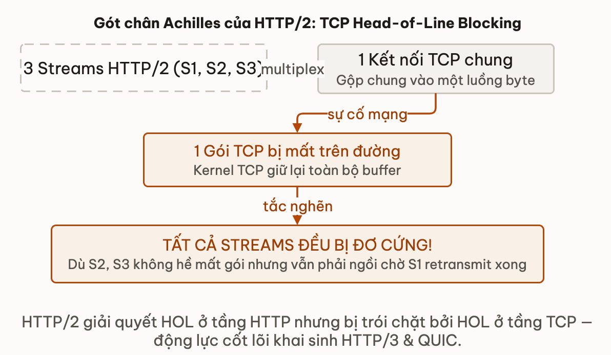 TCP Head-of-Line Blocking trong HTTP/2: Mất 1 packet làm nghẽn toàn bộ streams