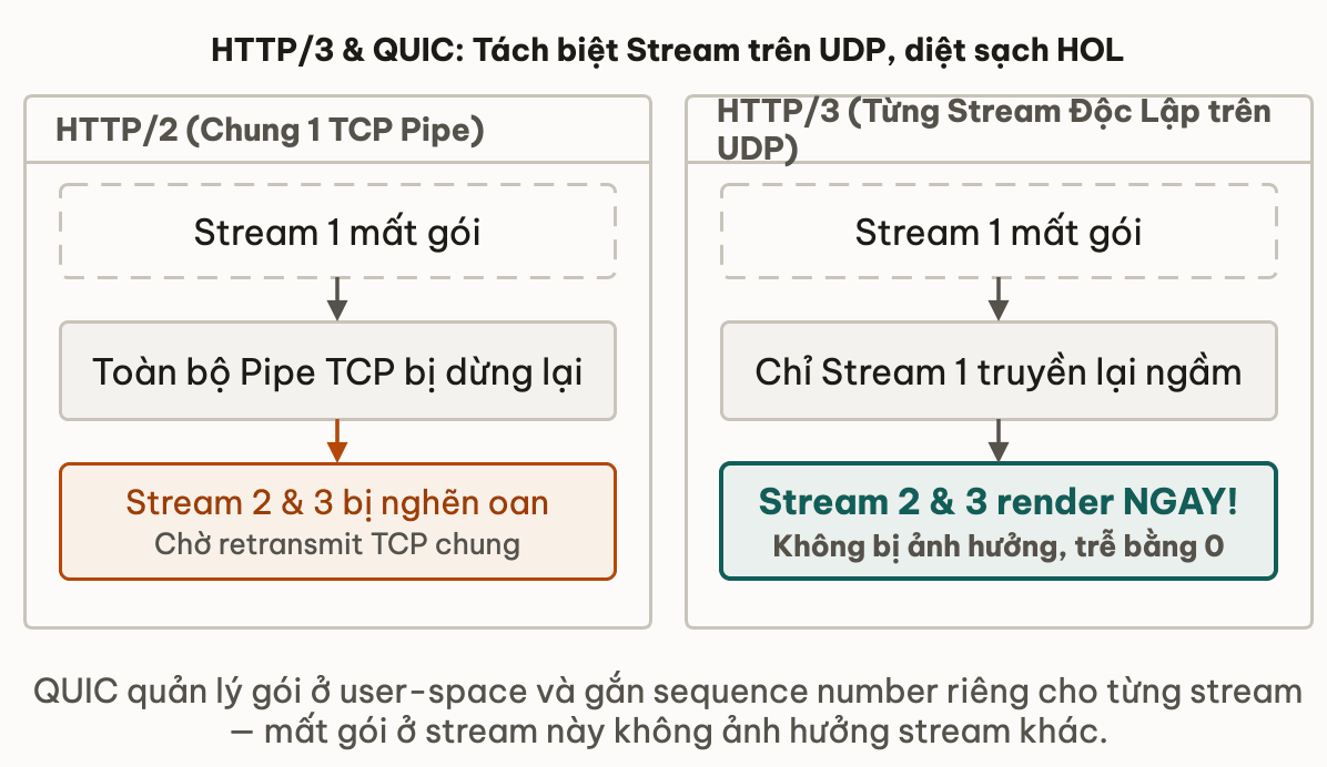 QUIC Multiplexing: Các stream hoàn toàn độc lập trên UDP, không bị chặn lây