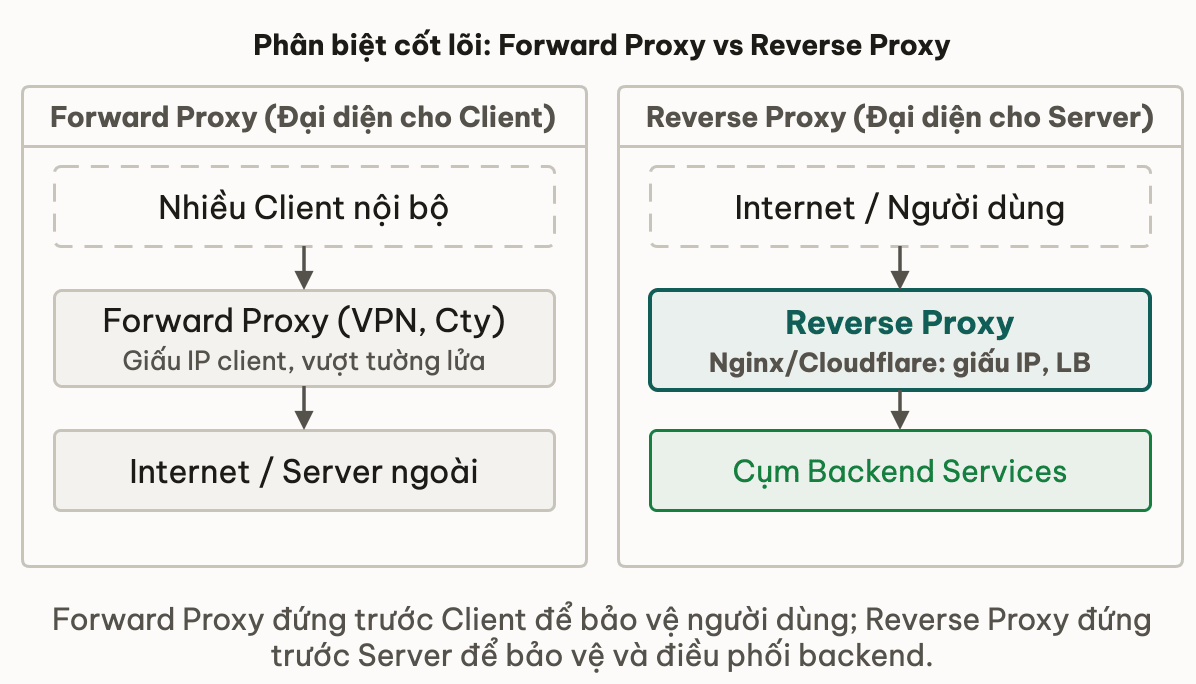 So sánh kiến trúc Forward Proxy (bảo vệ Client) vs Reverse Proxy (bảo vệ Server)