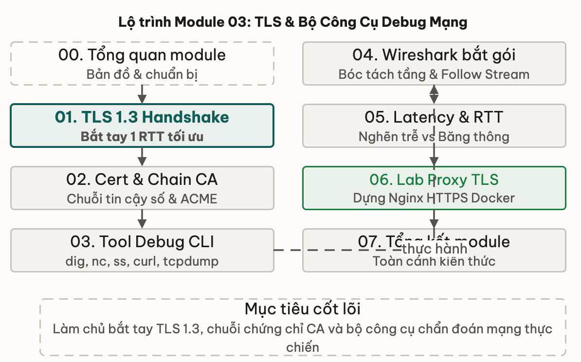 Lộ trình Module 03: TLS và Bộ Công Cụ Debug Mạng