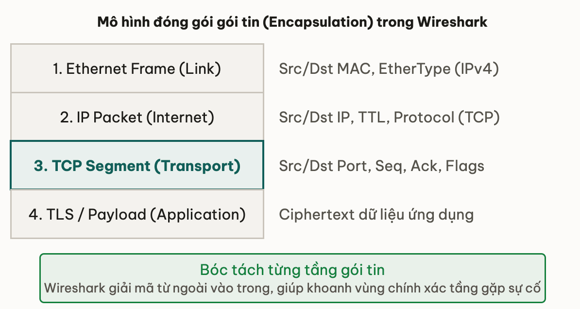 Mô hình đóng gói gói tin (Encapsulation) trong Wireshark