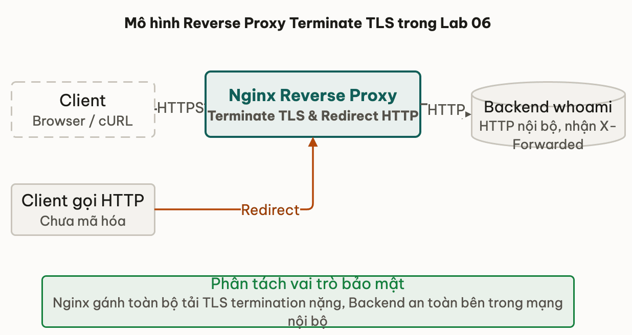Mô hình Reverse Proxy Terminate TLS trong Lab 06