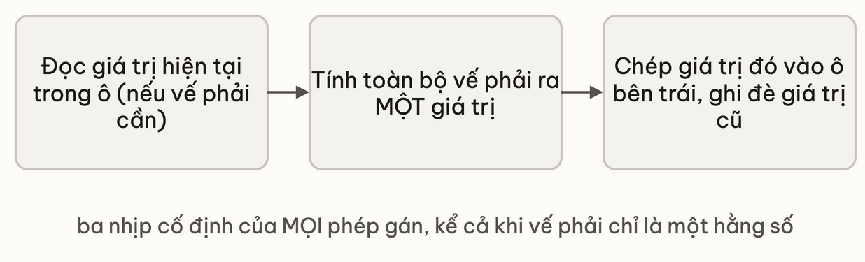 Ba hộp nối tiếp theo chiều ngang mô tả ba nhịp của một phép gán: đọc giá trị hiện tại trong ô nếu vế phải cần, tính toàn bộ vế phải ra một giá trị duy nhất, rồi chép giá trị đó vào ô bên trái và ghi đè giá trị cũ