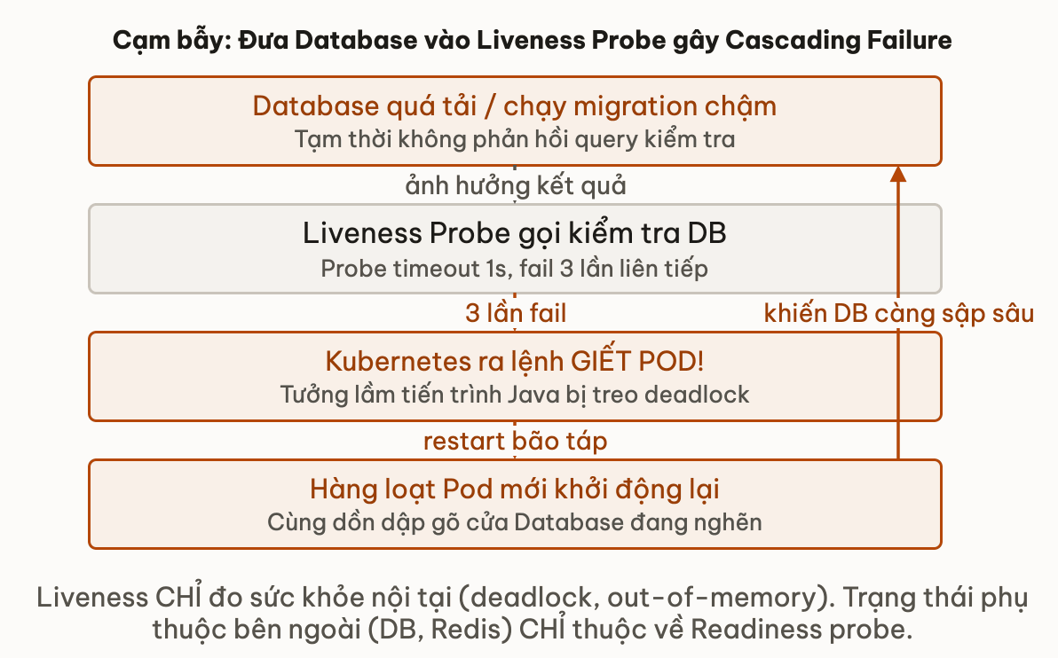 Cạm bẫy: Đưa Database vào Liveness Probe gây Cascading Failure