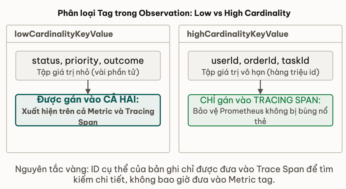Phân loại Tag trong Observation: Low vs High Cardinality