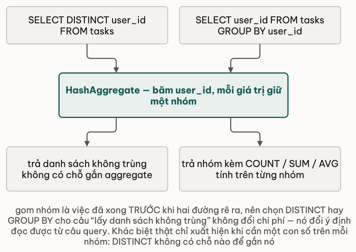 Hai query SELECT DISTINCT user_id và SELECT user_id GROUP BY user_id cùng đổ vào một node HashAggregate băm user_id giữ một nhóm cho mỗi giá trị, rồi từ node đó rẽ đôi: một nhánh trả danh sách không trùng và không có chỗ gắn aggregate, nhánh kia trả nhóm kèm COUNT SUM AVG