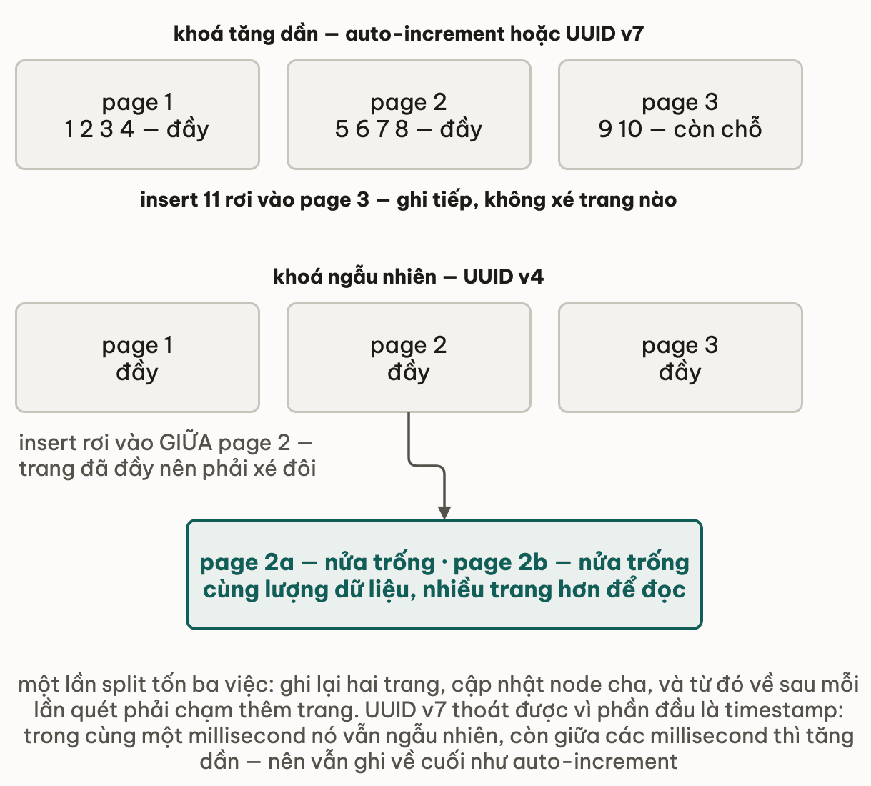 Hai hàng ba trang index: hàng khoá tăng dần có page 1 và page 2 đầy, page 3 còn chỗ nên insert 11 rơi vào page 3 và ghi tiếp mà không xé trang nào; hàng khoá ngẫu nhiên UUID v4 có cả ba trang đầy nên insert rơi vào giữa page 2 và phải xé đôi, sinh ra page 2a và page 2b mỗi trang nửa trống, cùng lượng dữ liệu mà nhiều trang hơn để đọc
