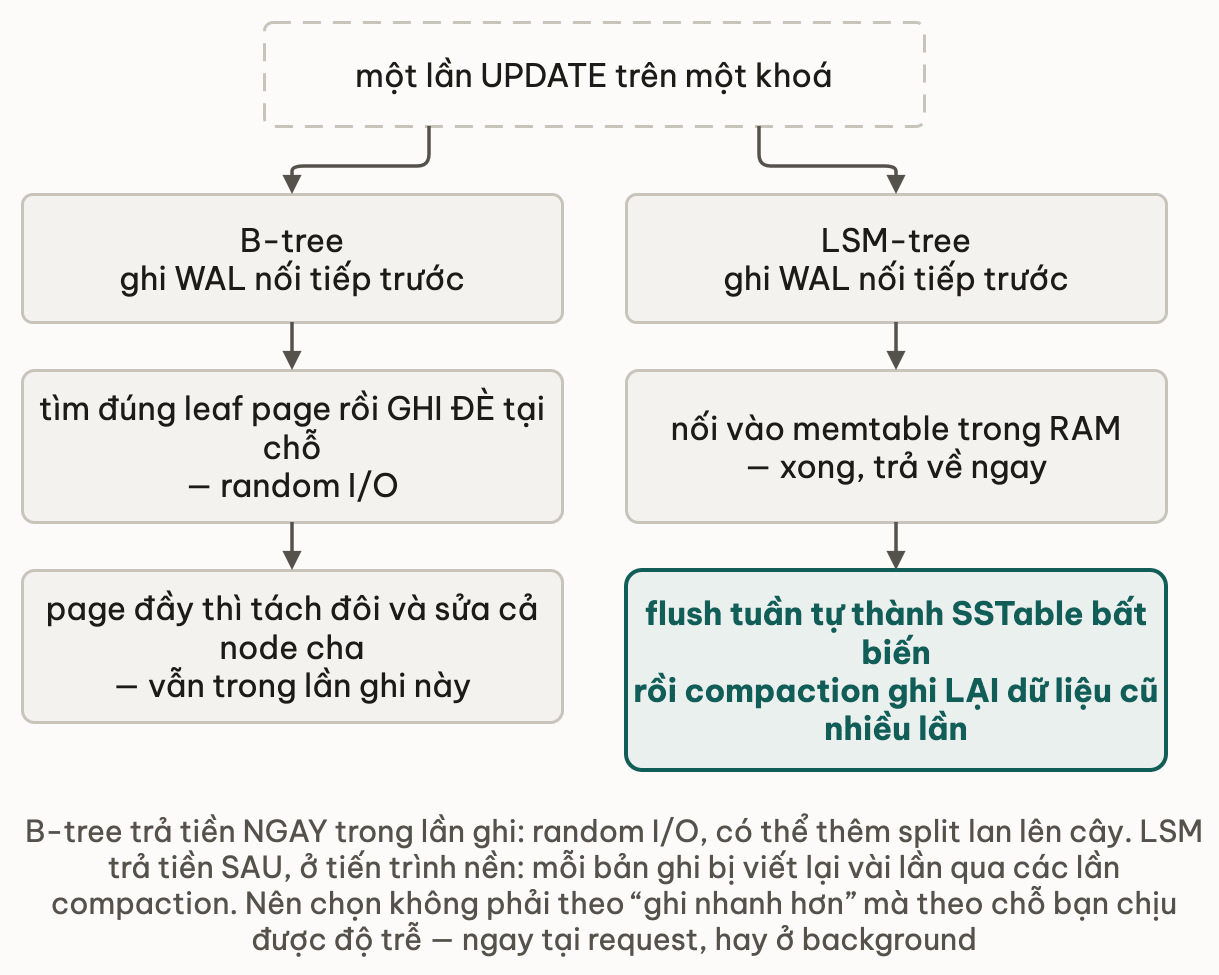 Một lần UPDATE trên một khoá rẽ hai nhánh: B-tree ghi WAL nối tiếp trước rồi tìm đúng leaf page và ghi đè tại chỗ bằng random I/O, page đầy thì tách đôi và sửa cả node cha ngay trong lần ghi này; LSM-tree cũng ghi WAL trước nhưng chỉ nối vào memtable trong RAM là trả về ngay, còn flush tuần tự thành SSTable bất biến và compaction ghi lại dữ liệu cũ nhiều lần thì diễn ra sau