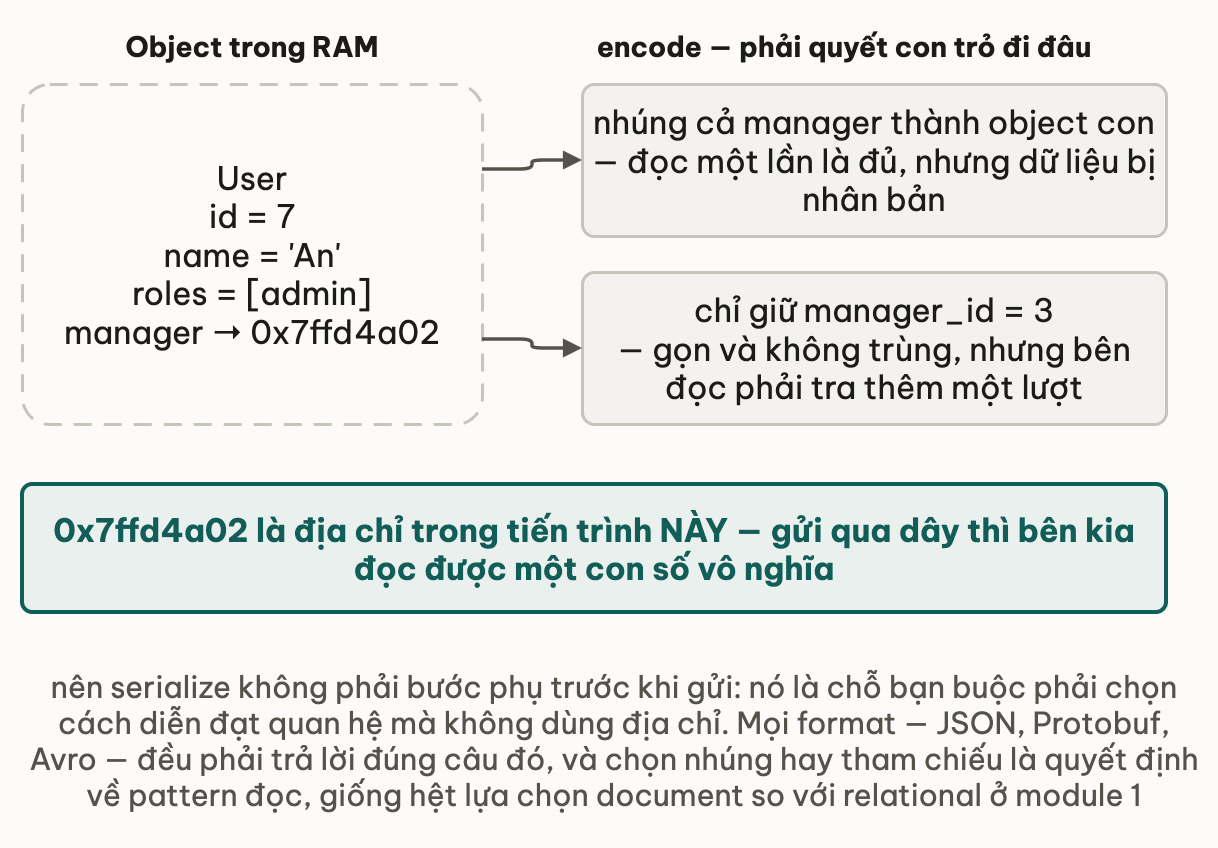 Object User trong RAM có id 7, name An, roles admin và manager trỏ tới địa chỉ 0x7ffd4a02; bước encode phải quyết con trỏ đi đâu, hai lựa chọn là nhúng cả manager thành object con nên đọc một lần là đủ nhưng dữ liệu bị nhân bản, hoặc chỉ giữ manager_id bằng 3 nên gọn và không trùng nhưng bên đọc phải tra thêm một lượt; ghi chú nhấn rằng 0x7ffd4a02 là địa chỉ trong tiến trình này nên gửi qua dây thì bên kia chỉ đọc được một con số vô nghĩa