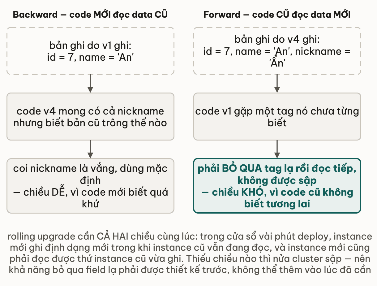 Hai cột đối chiếu: cột backward có bản ghi do v1 ghi với id 7 và name An, code v4 mong có cả nickname nhưng biết bản cũ trông thế nào nên coi nickname là vắng và dùng mặc định — chiều dễ vì code mới biết quá khứ; cột forward có bản ghi do v4 ghi thêm nickname, code v1 gặp một tag nó chưa từng biết nên phải bỏ qua tag lạ rồi đọc tiếp mà không được sập — chiều khó vì code cũ không biết tương lai