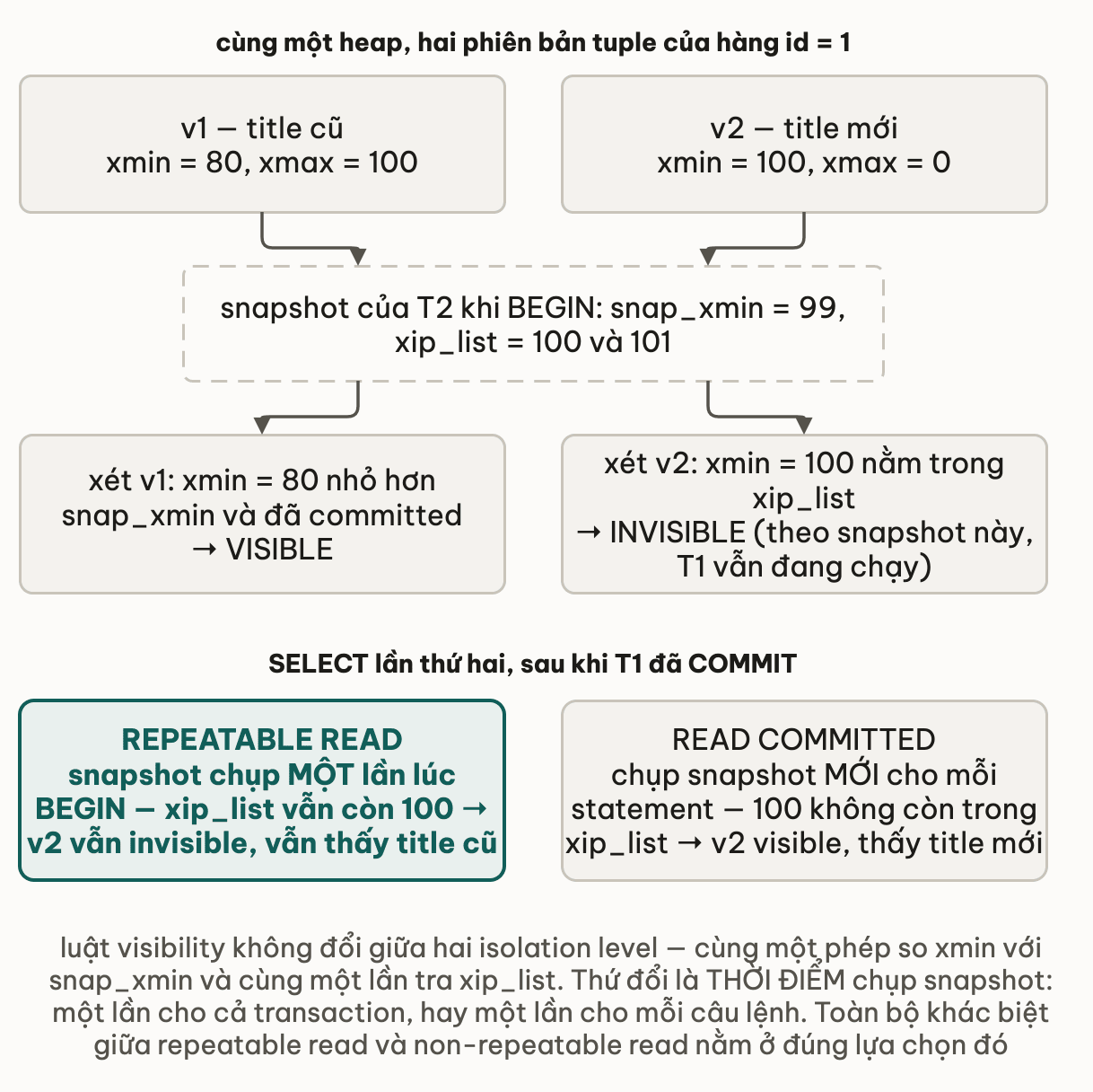 Cùng một heap chứa hai phiên bản tuple của hàng id 1: v1 title cũ với xmin 80 và xmax 100, v2 title mới với xmin 100 và xmax 0; snapshot của T2 lúc BEGIN có snap_xmin 99 và xip_list gồm 100 với 101, nên xét v1 thì xmin 80 nhỏ hơn snap_xmin và đã committed nên VISIBLE, còn xét v2 thì xmin 100 nằm trong xip_list nên INVISIBLE; ở lần SELECT thứ hai sau khi T1 commit, REPEATABLE READ giữ nguyên snapshot nên vẫn thấy title cũ, còn READ COMMITTED chụp snapshot mới cho mỗi statement nên thấy title mới