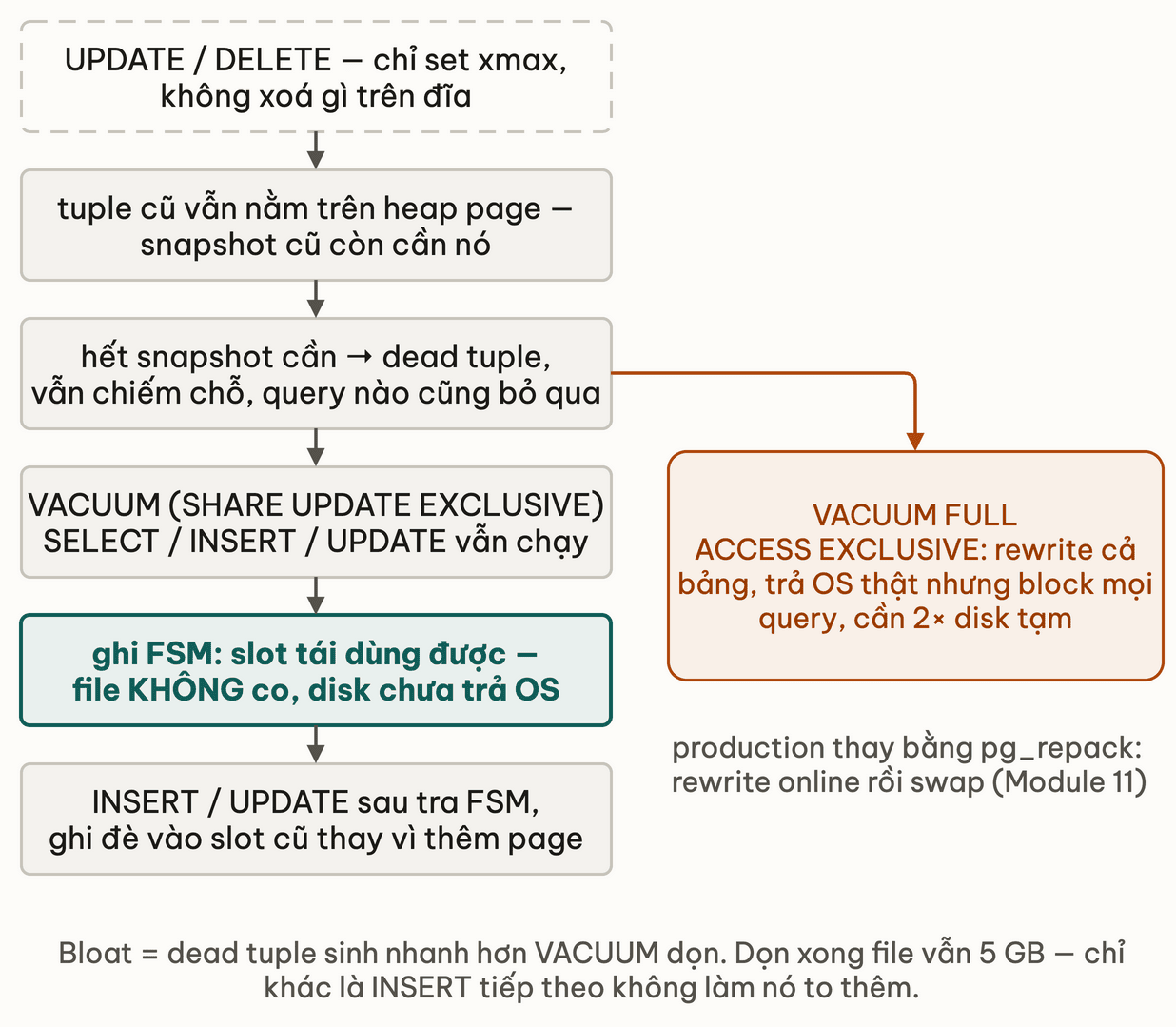 Vòng đời một dead tuple: UPDATE hoặc DELETE chỉ set xmax, tuple cũ vẫn nằm trên heap page vì snapshot cũ còn cần; hết snapshot cần thì thành dead tuple vẫn chiếm chỗ; VACUUM với SHARE UPDATE EXCLUSIVE ghi FSM để slot tái dùng được nhưng file không co và disk chưa trả OS; INSERT hoặc UPDATE sau tra FSM và ghi đè slot cũ. Nhánh VACUUM FULL lấy ACCESS EXCLUSIVE, rewrite cả bảng và trả OS thật nhưng block mọi query, production thay bằng pg_repack