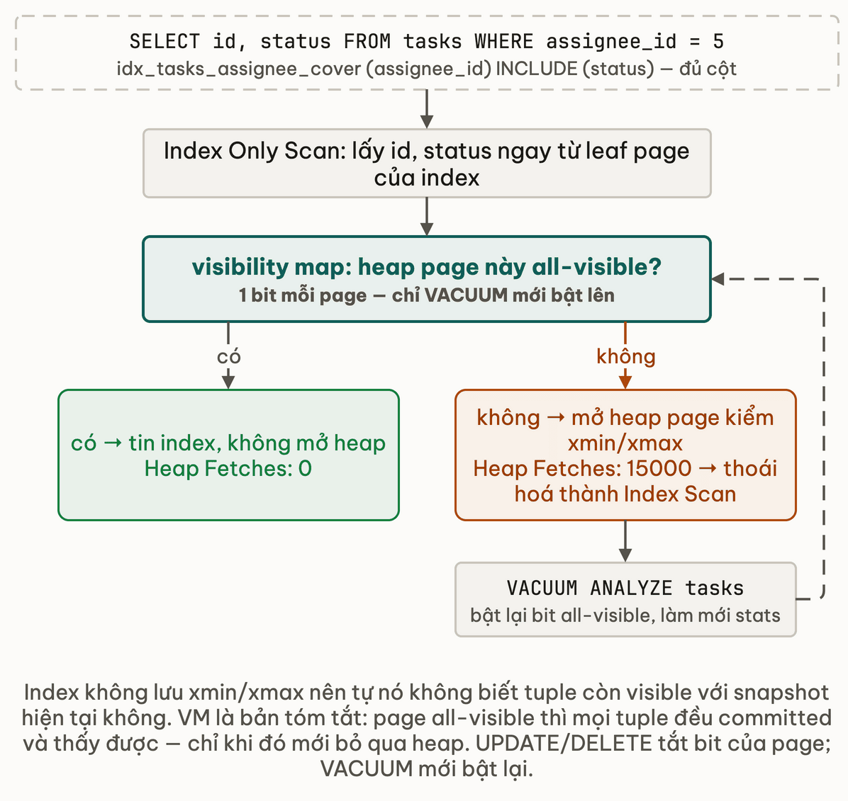 Luồng Index Only Scan hỏi visibility map: page all-visible thì trả data từ index với Heap Fetches 0, page không all-visible thì phải mở heap page và Heap Fetches tăng, VACUUM ANALYZE bật lại bit all-visible