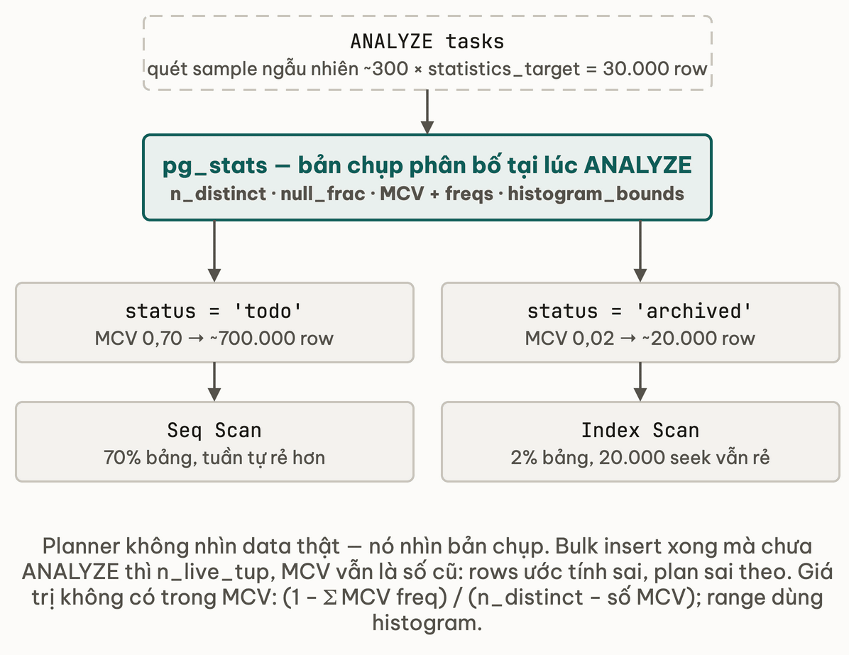 Đường đi từ ANALYZE lấy sample 30000 row tới bản chụp pg_stats, rồi rẽ hai nhánh cho cùng cột status: giá trị todo với MCV freq 0,70 dẫn tới Seq Scan, giá trị archived với MCV freq 0,02 dẫn tới Index Scan