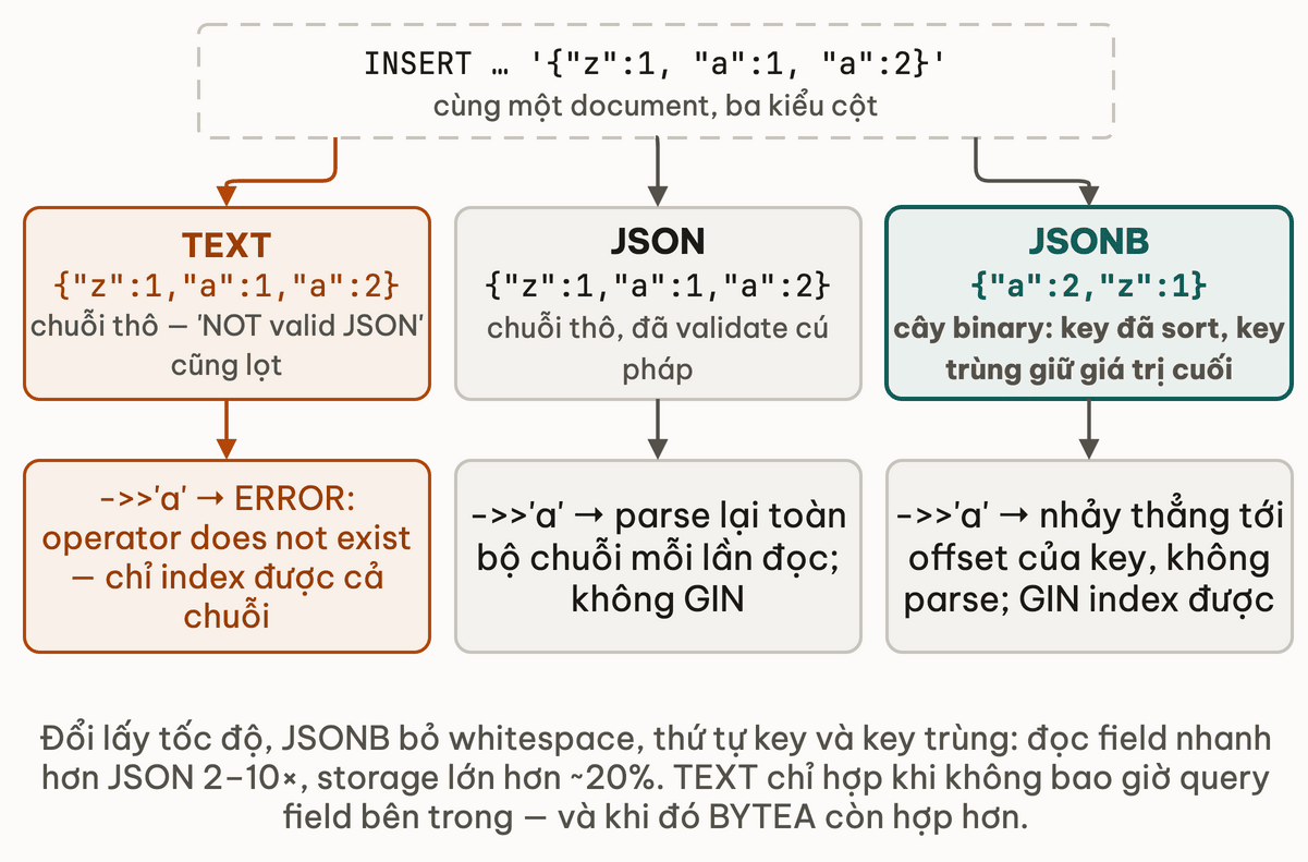 Cùng một document đi vào cột TEXT, JSON và JSONB: hai cột đầu giữ nguyên chuỗi nên query field phải parse lại hoặc báo lỗi, JSONB tách thành cây binary đã sort và dedupe nên nhảy thẳng tới offset của key và có GIN index