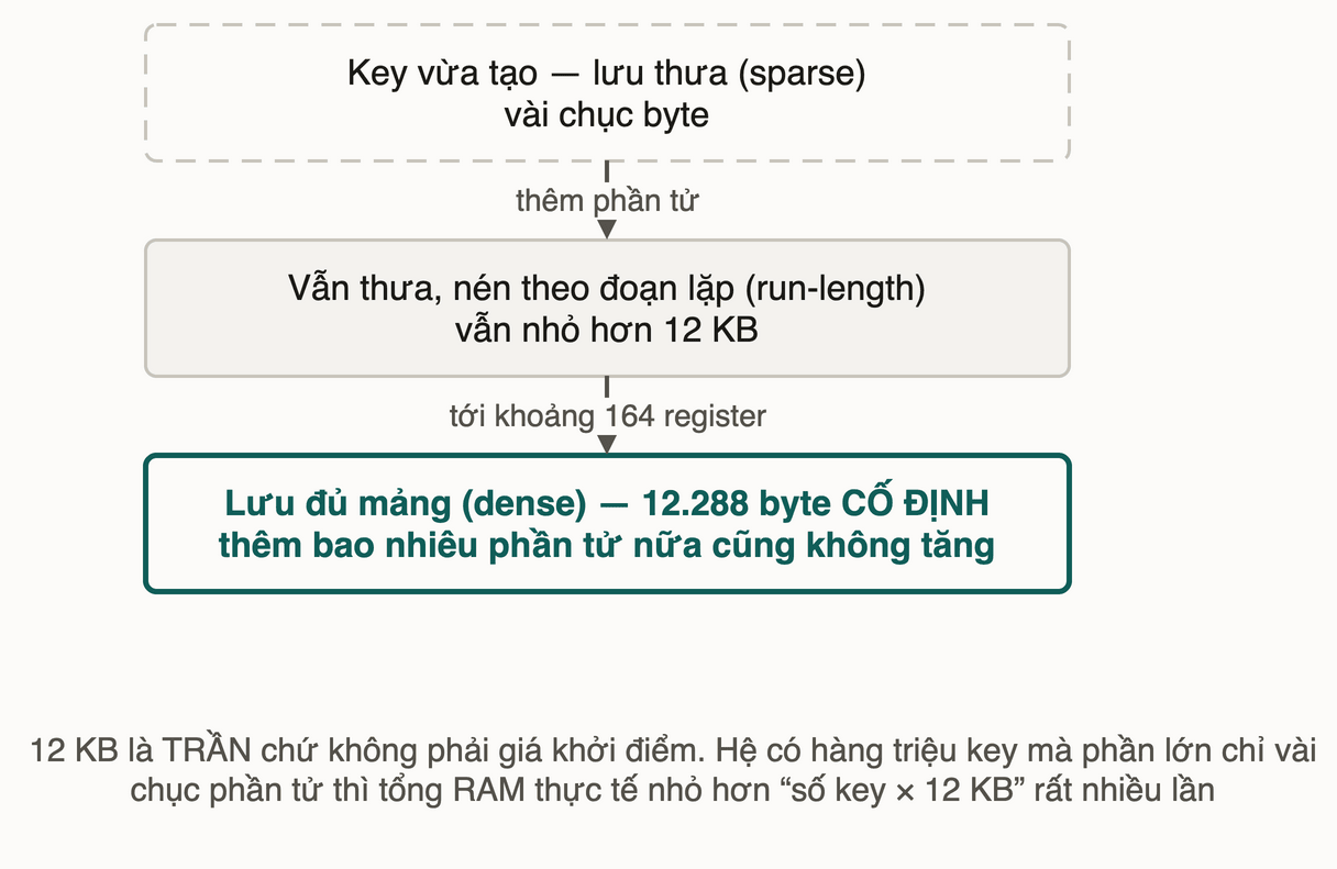Ba trạng thái lưu trữ của một key HyperLogLog trong Redis: thưa, thưa nén, rồi dense 12 KB cố định