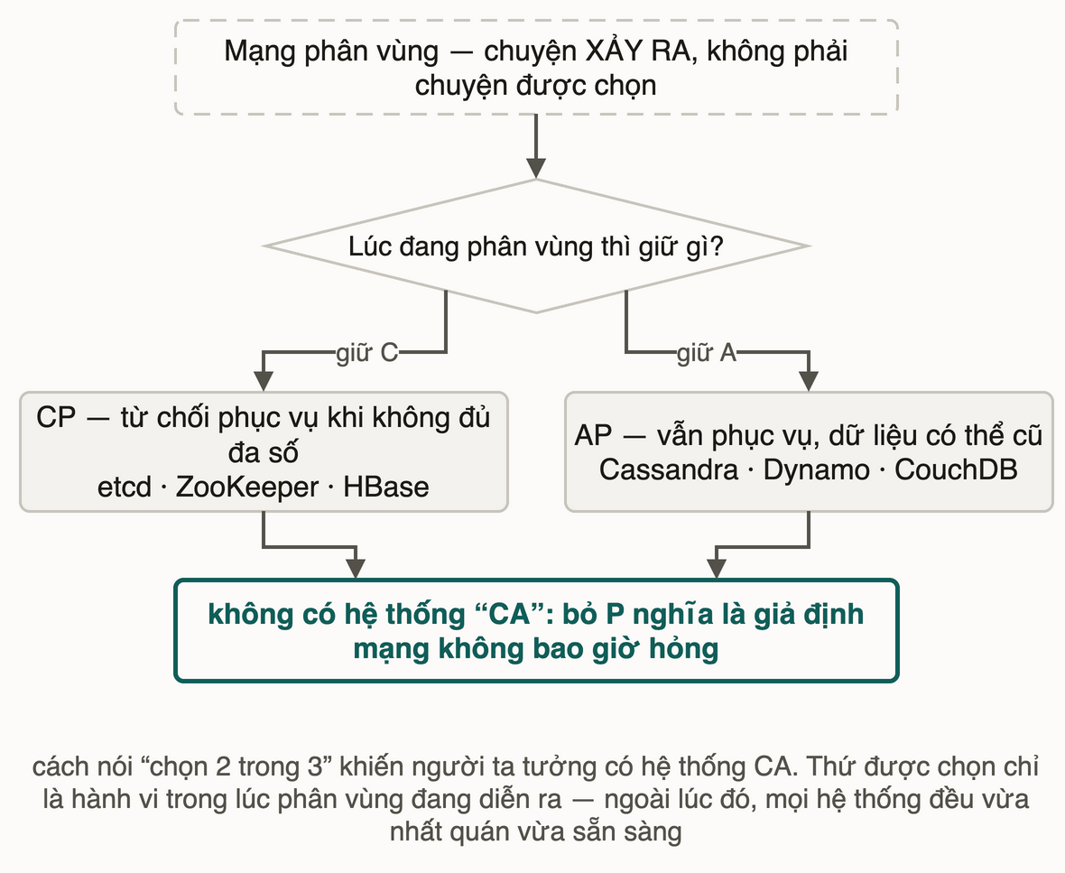 Phân vùng mạng là sự kiện cho sẵn, chỉ hành vi lúc phân vùng mới là lựa chọn giữa CP và AP
