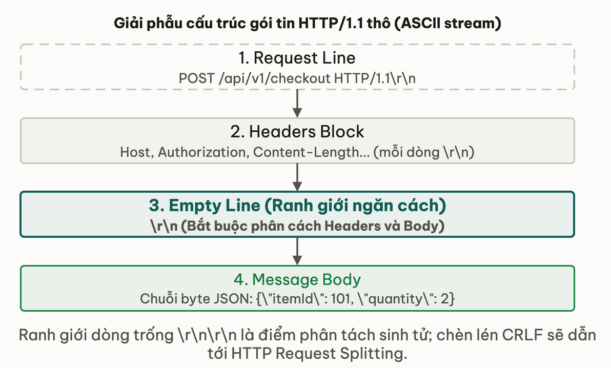 Giải phẫu 4 phần của một HTTP/1.1 Request thô: từ Request Line tới ranh giới CRLF