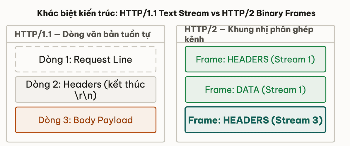 So sánh kiến trúc dòng văn bản của HTTP/1.1 vs khung nhị phân của HTTP/2