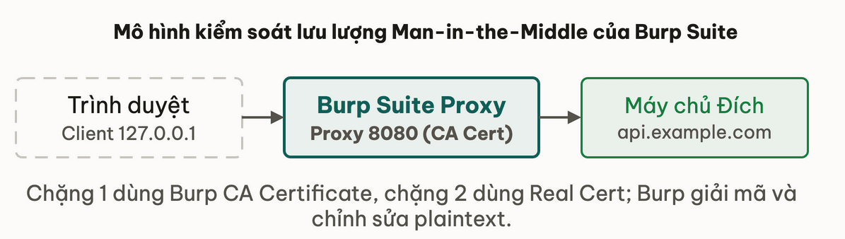Mô hình kiểm soát lưu lượng Man-in-the-Middle của Burp Suite